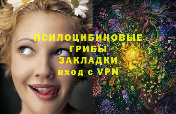 ALPHA PVP Алексеевка